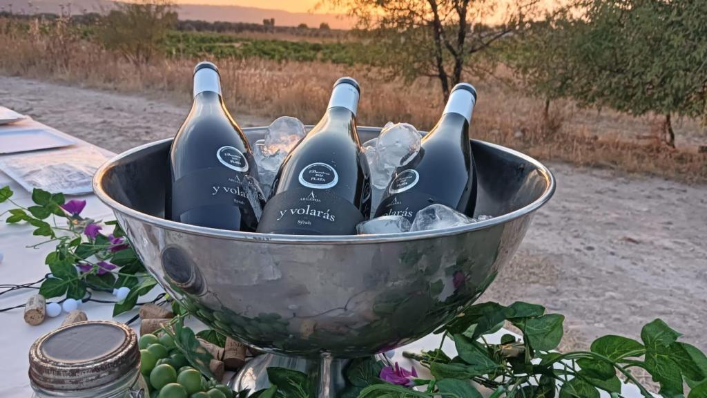 Varias botellas de 'Y volarás' en los viñedos de Cipri Guillén en Arganda del Rey.