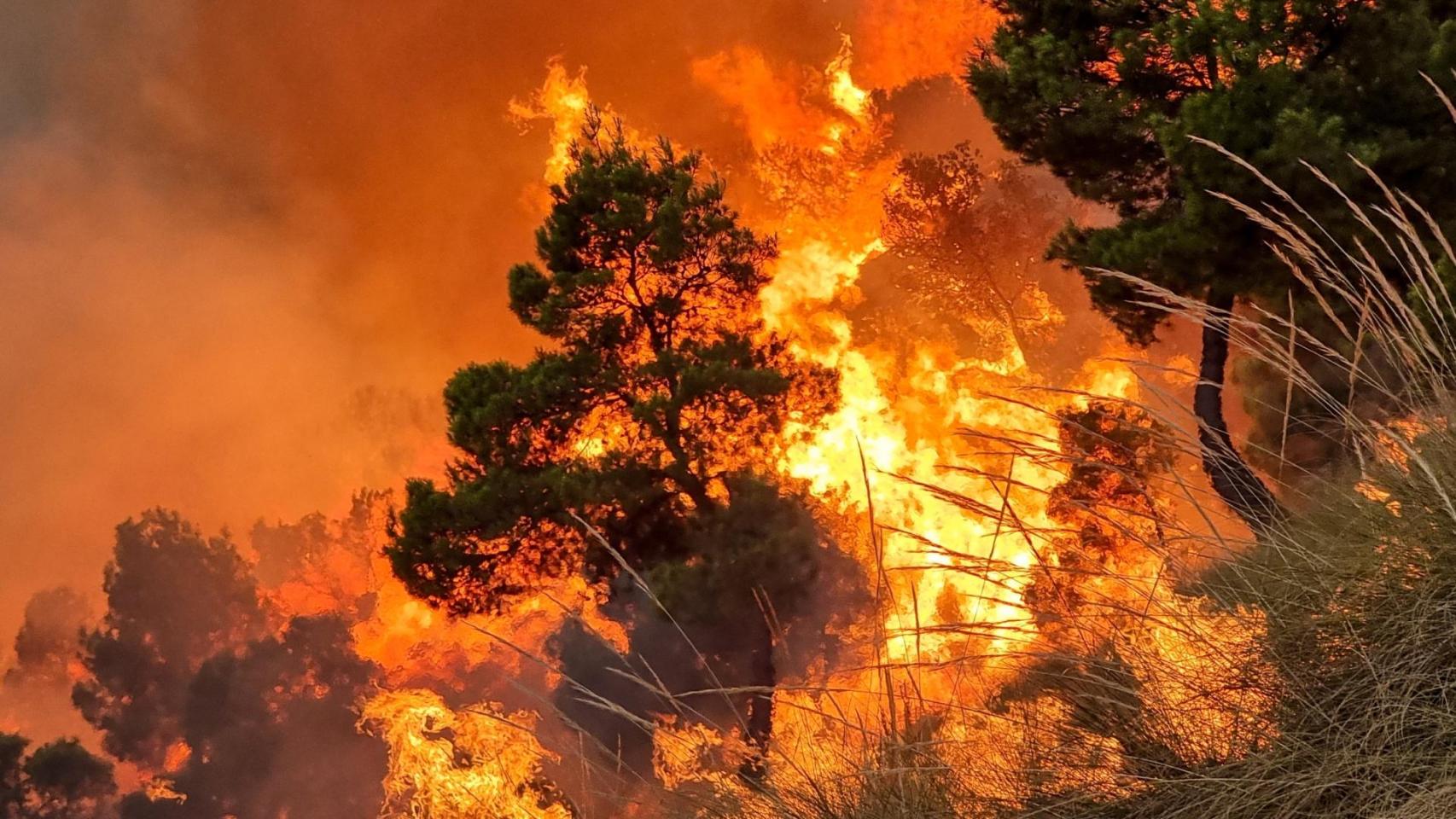 Imagen de archivo de un incendio forestal
