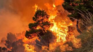 Imagen de archivo de un incendio forestal