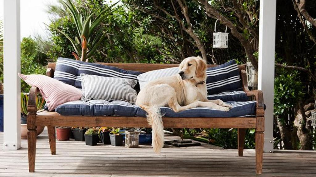 Perro sobre un sofá de jardín en una terraza.
