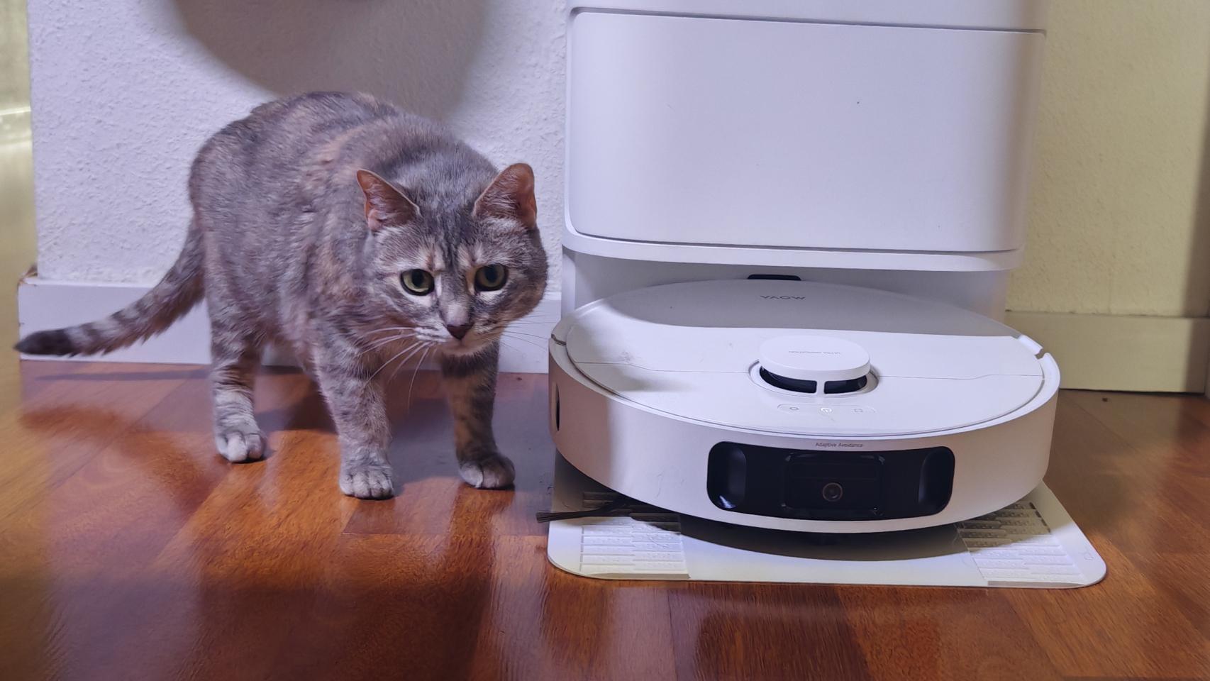 El auge de los 'gadgets' para cuidar a tu mascota en casa: de limpiar lo que ensucian a rastrearles y darles de comer