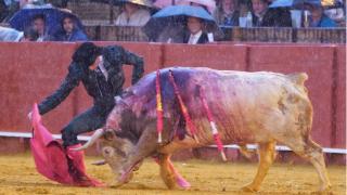 Pepe Moral torea con la muleta en Sevilla bajo un aguacero.