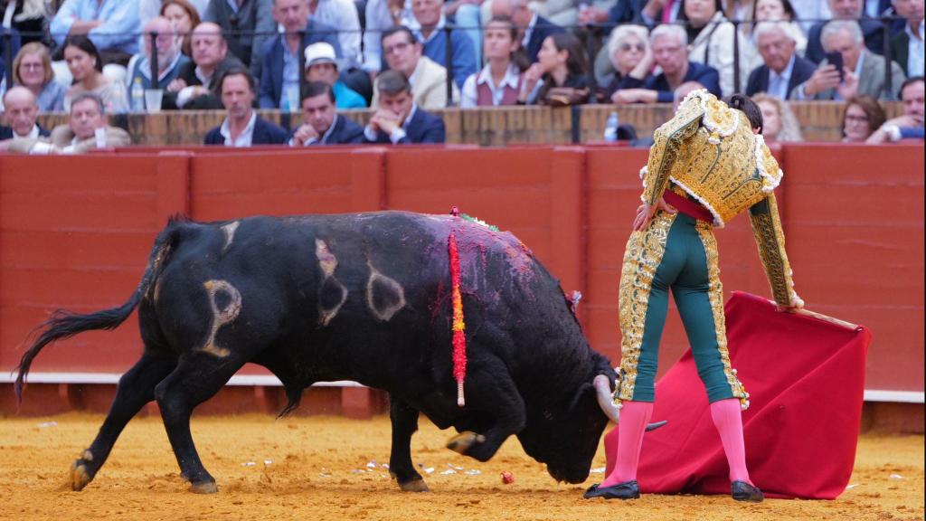 Fabio Jiménez torea al natural en Sevilla.