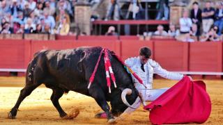 Rafa Serna da un muletazo en la Maestranza de Sevilla.