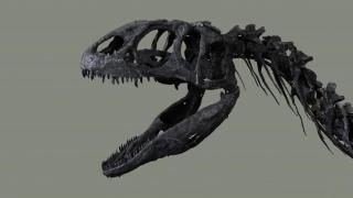 Dinosaurio exhibido en Reino Unido.