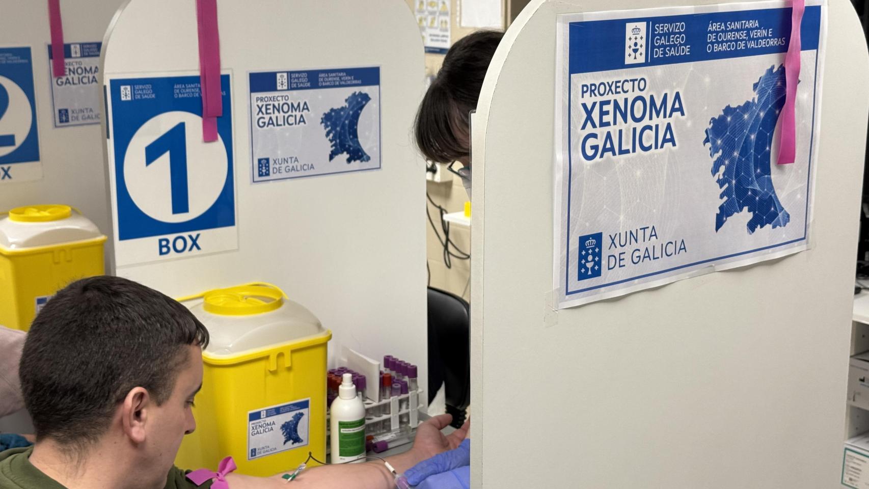 Un participante en el proyecto Xenoma Galicia.