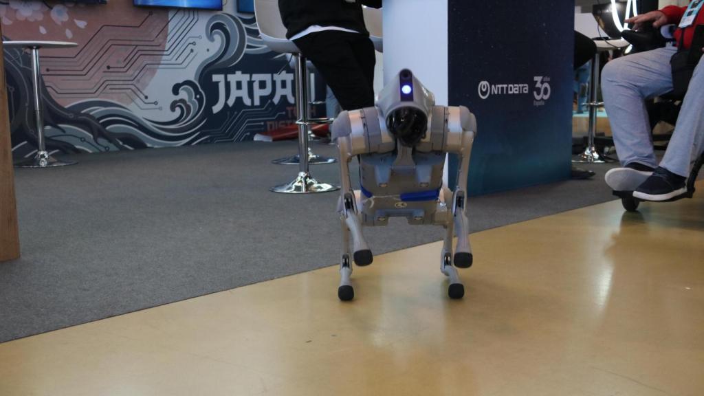 Perro-robot de NTT Data en 'The Wave'
