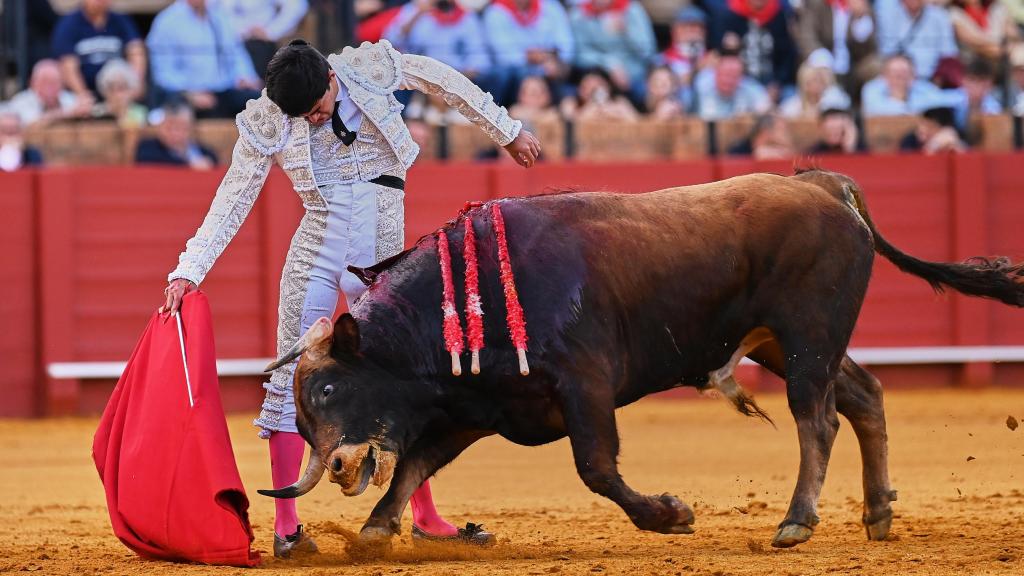 El novillero Tomás Bastos pega un derechazo en Sevilla.