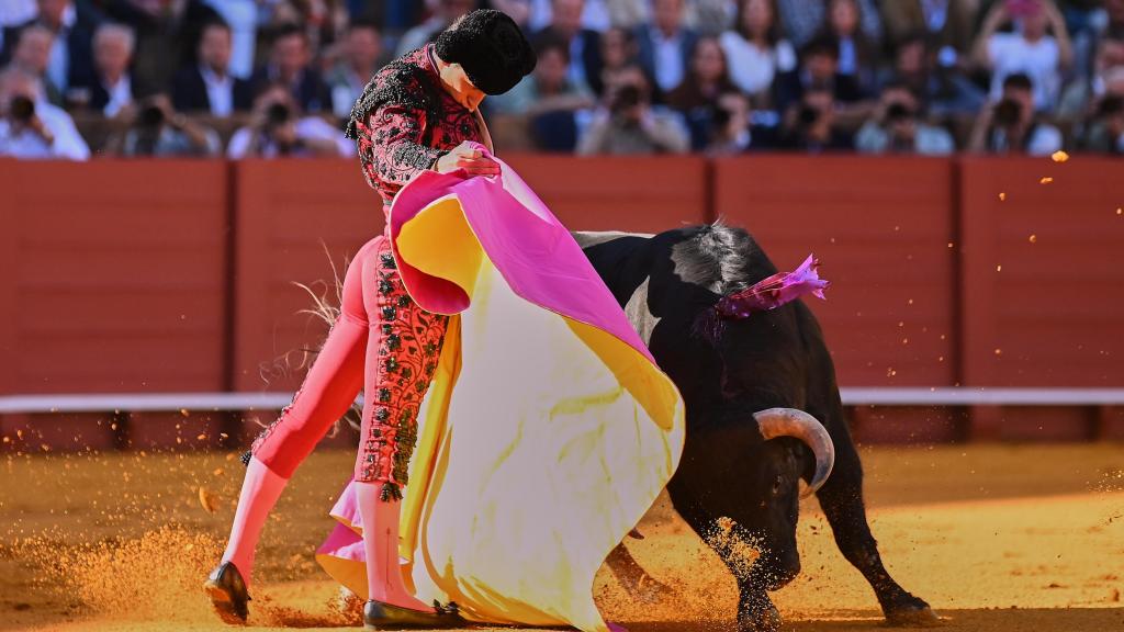 Emilio Osorno lancea a su primer novillo a la verónica en Sevilla.