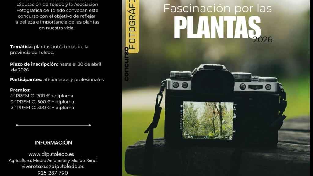 Cartel del concurso de fotografía convocado por la Diputación de Toledo.