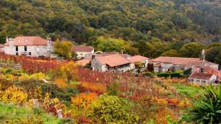 Pazos de Arenteiro, en Boborás (Ourense)