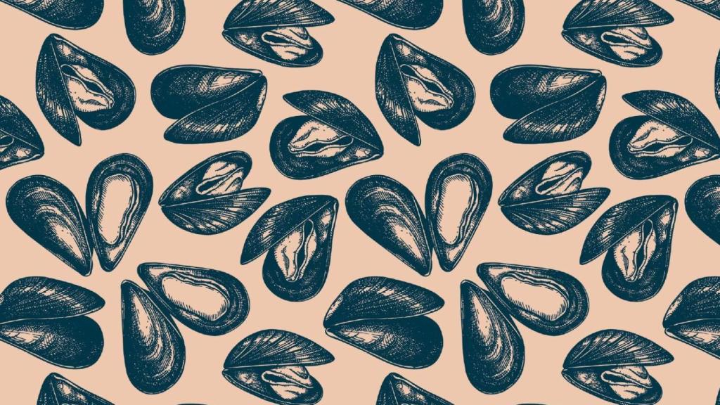 Los mejillones de la portada del libro.