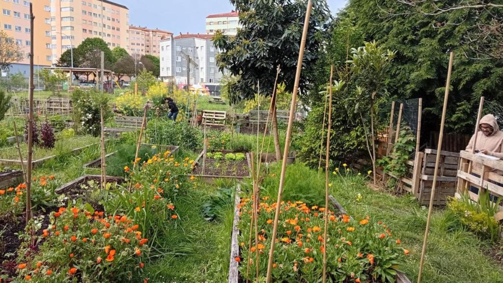 La huerta comunitaria de Canido, en Ferrol.