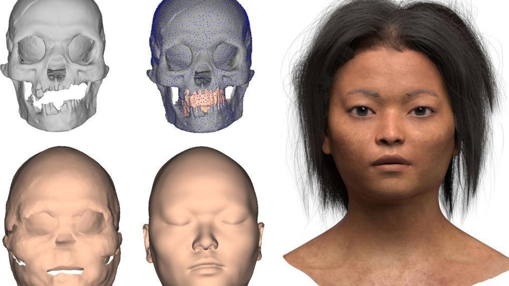 Esta imagen muestra el rostro reconstruido (R) de un humano prehistórico y el proceso de reconstrucción basado en el cráneo de un homínido primitivo.