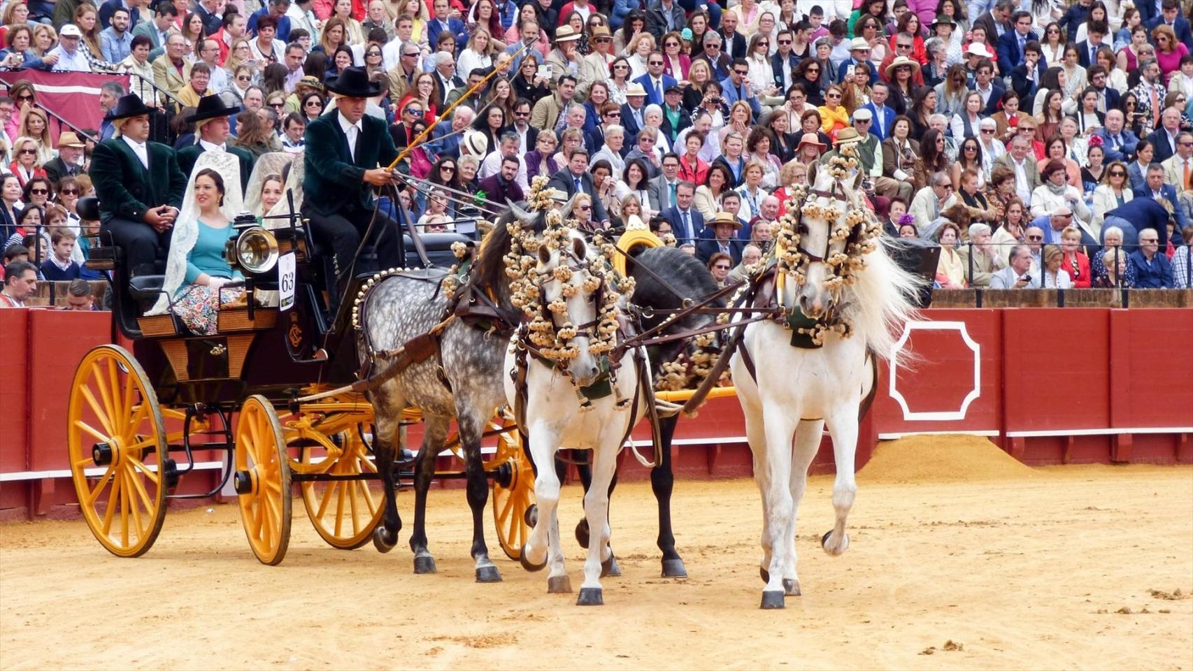 Imagen de la Exhibición de Enganches.