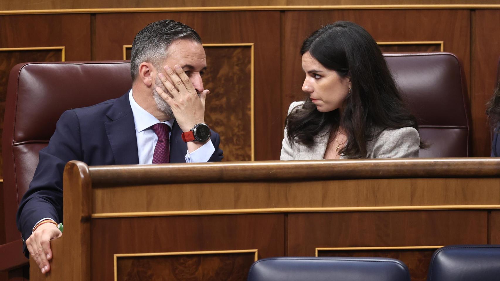 El líder de Vox, Santiago Abascal, y la portavoz parlamentaria del grupo, Pepa Millán, este miércoles en el Congreso.