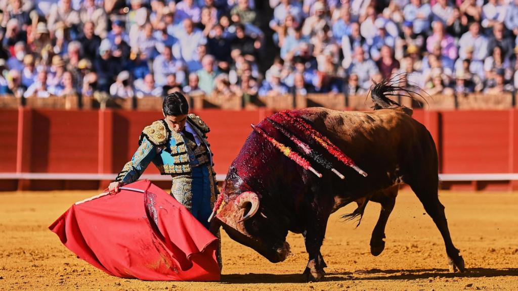 El torero Miguel Ángel Perera torea de rodillas en la Maestranza.