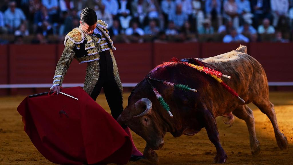 David Galván pega un derechazo en la Maestranza de Sevilla.