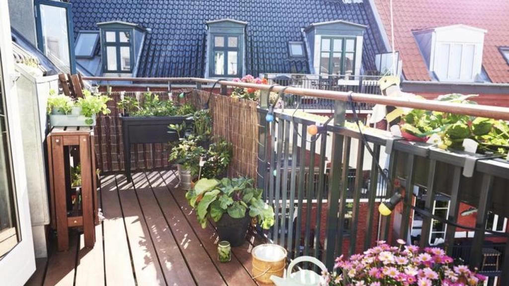 Terraza con plantas