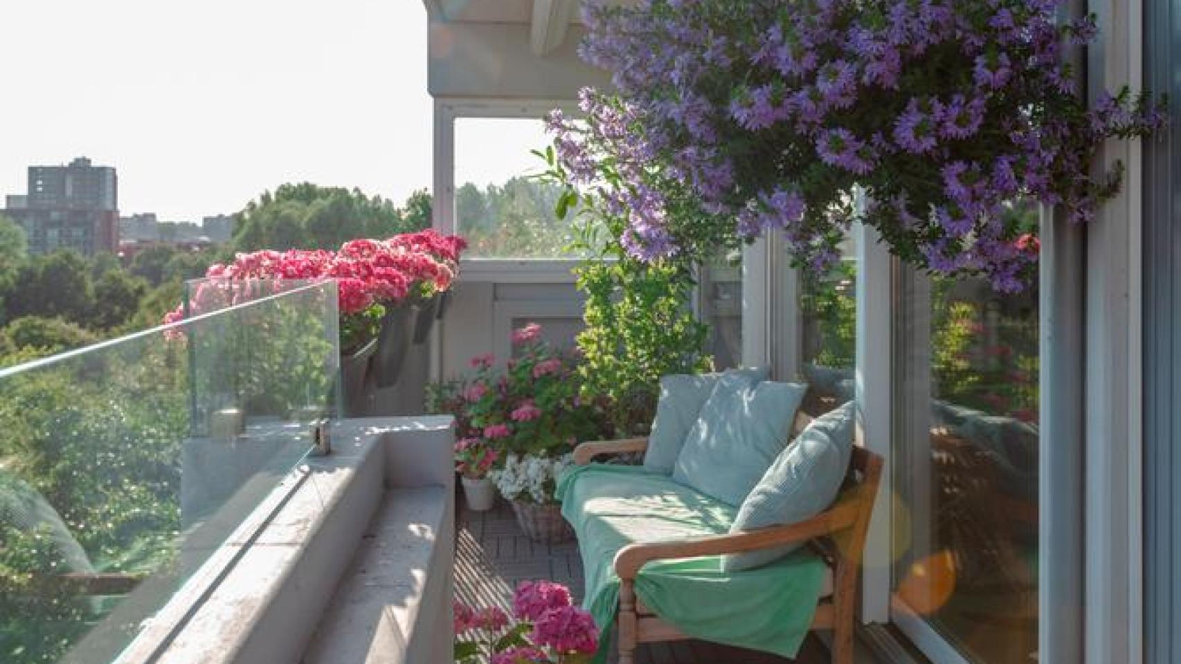 Terraza de vivienda con plantas en su interior.