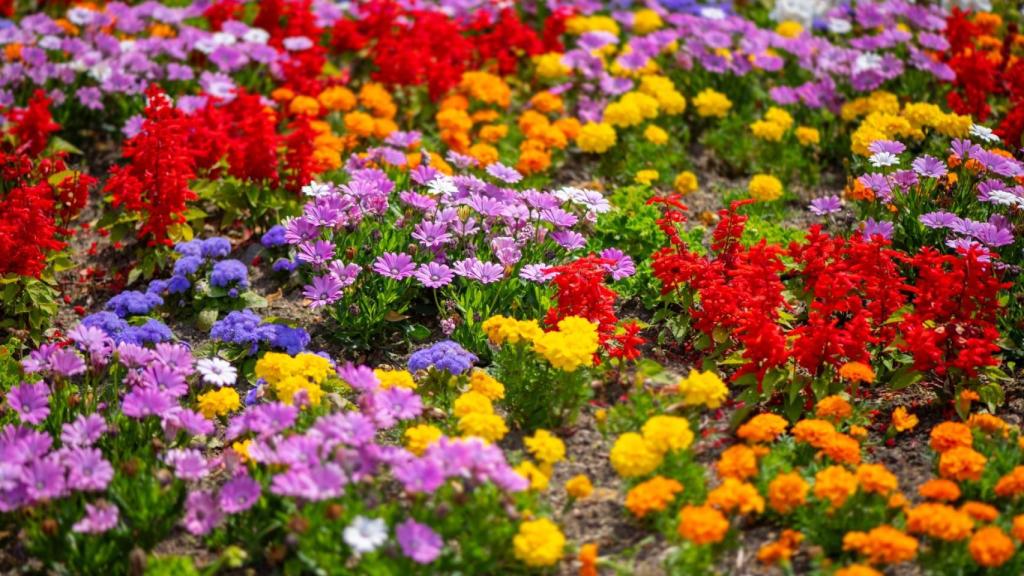 Jardín con flores