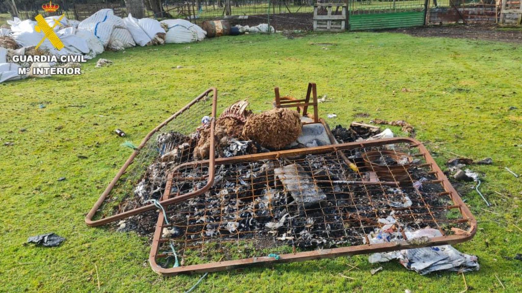 Imagen de la explotación ganadera.