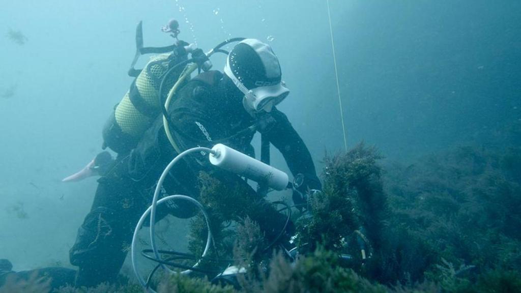 Un técnico instala un sensor en el fondo del mar.