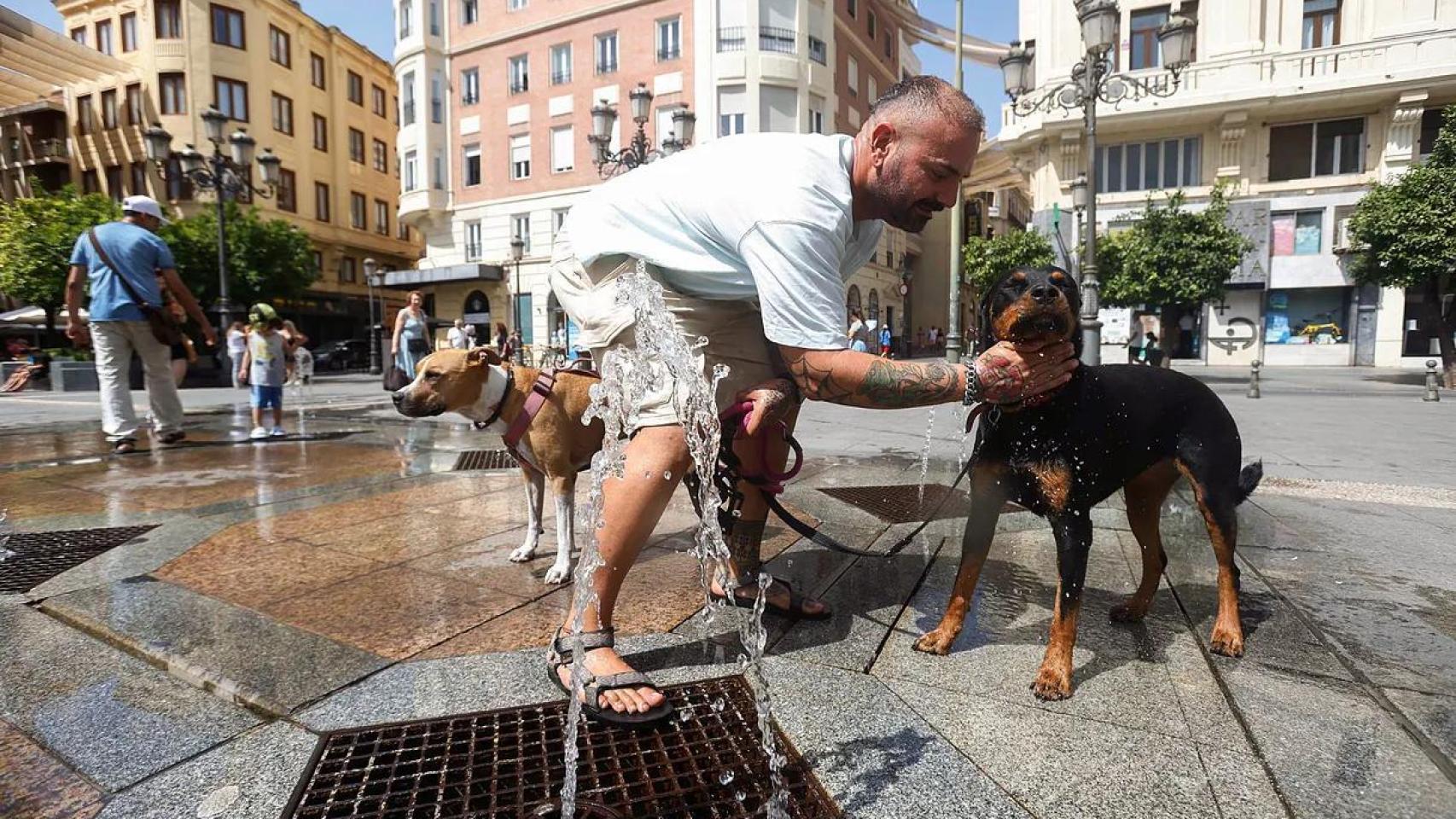 Imagen de archivo de un hombre refrescando a su perro en una plaza de España.