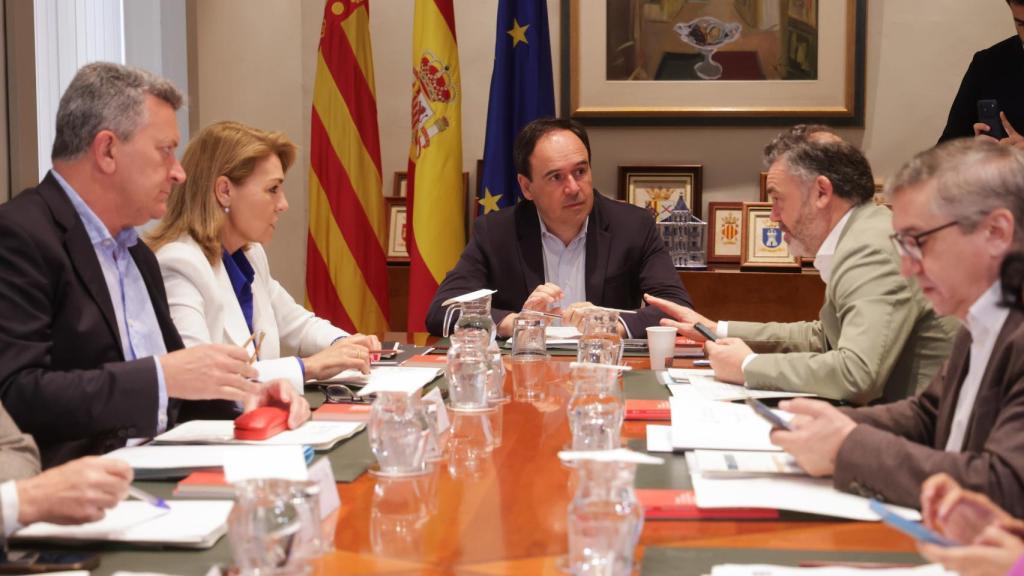 Juan Fran Pérez Llorca presidiendo un pleno del Consell en Alicante.