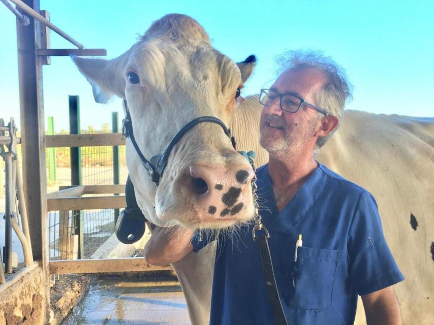 José María con una de sus vacas.