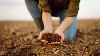 Un agricultor evalúa la calidad del suelo antes de la siembra de semillas.