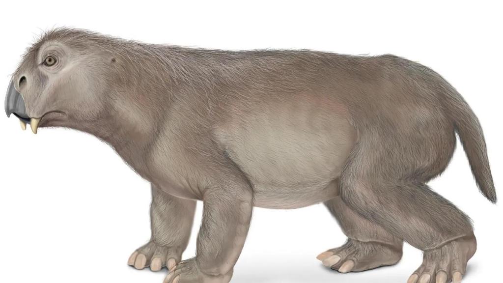 Los terápsidos, como el Lystrosaurus , eran reptiles parecidos a los mamíferos que prosperaron a principios del período Triásico.