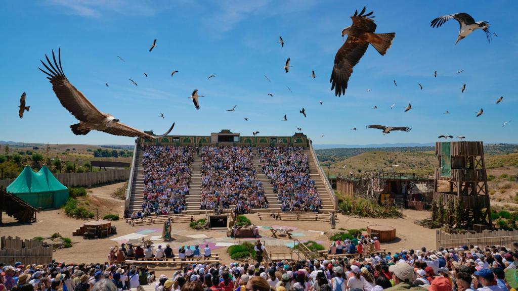 Aves rapaces sobrevuelan al público en Cetrería de Reyes, uno de los espectáculos más emblemáticos de Puy du Fou España, que en 2026 alcanza los 300 ejemplares.