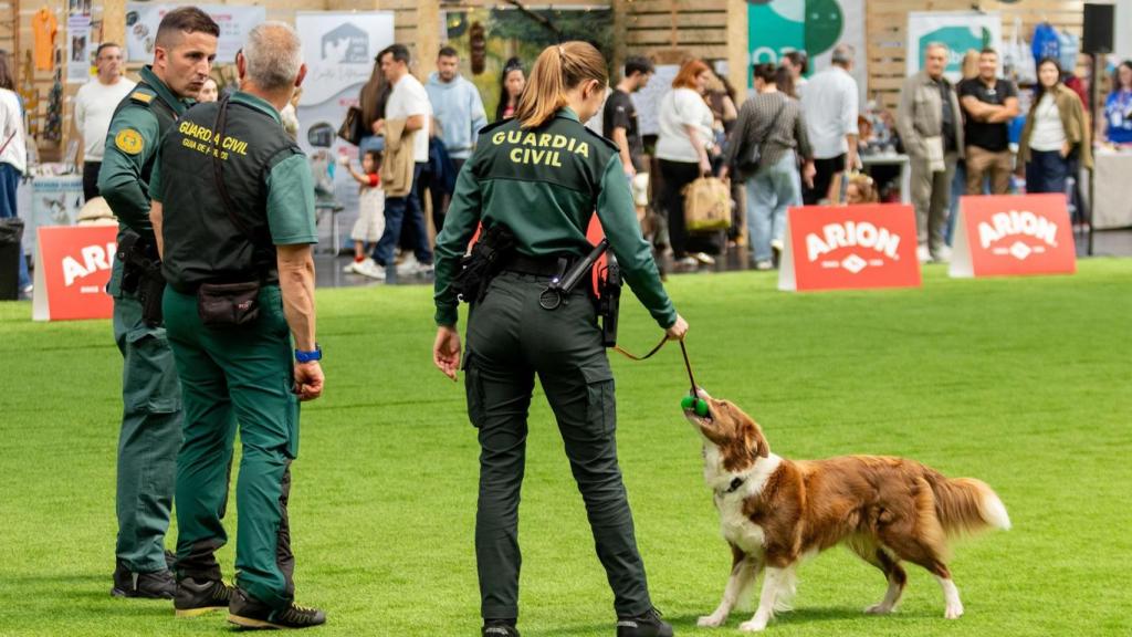 Uno de los momentos más destacados fue la participación del Cuerpo Cinológico de la Guardia Civil de A Coruña, con la intervención de Trudi