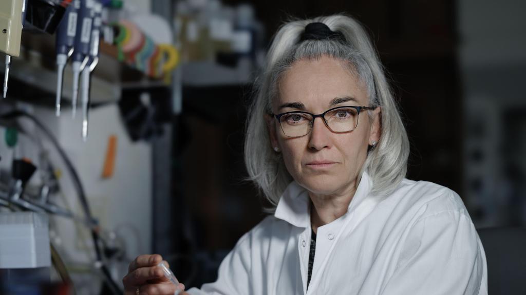 Eva Nogales es actualmente catedrática de Biofísica y Biología Estructural en el Departamento de Biología Molecular y Celular de la Universidad de California, Berkeley.