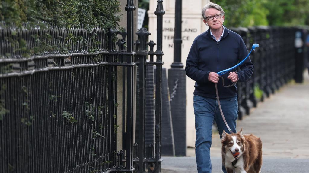 Peter Mandelson pasea a su perro en Londres.