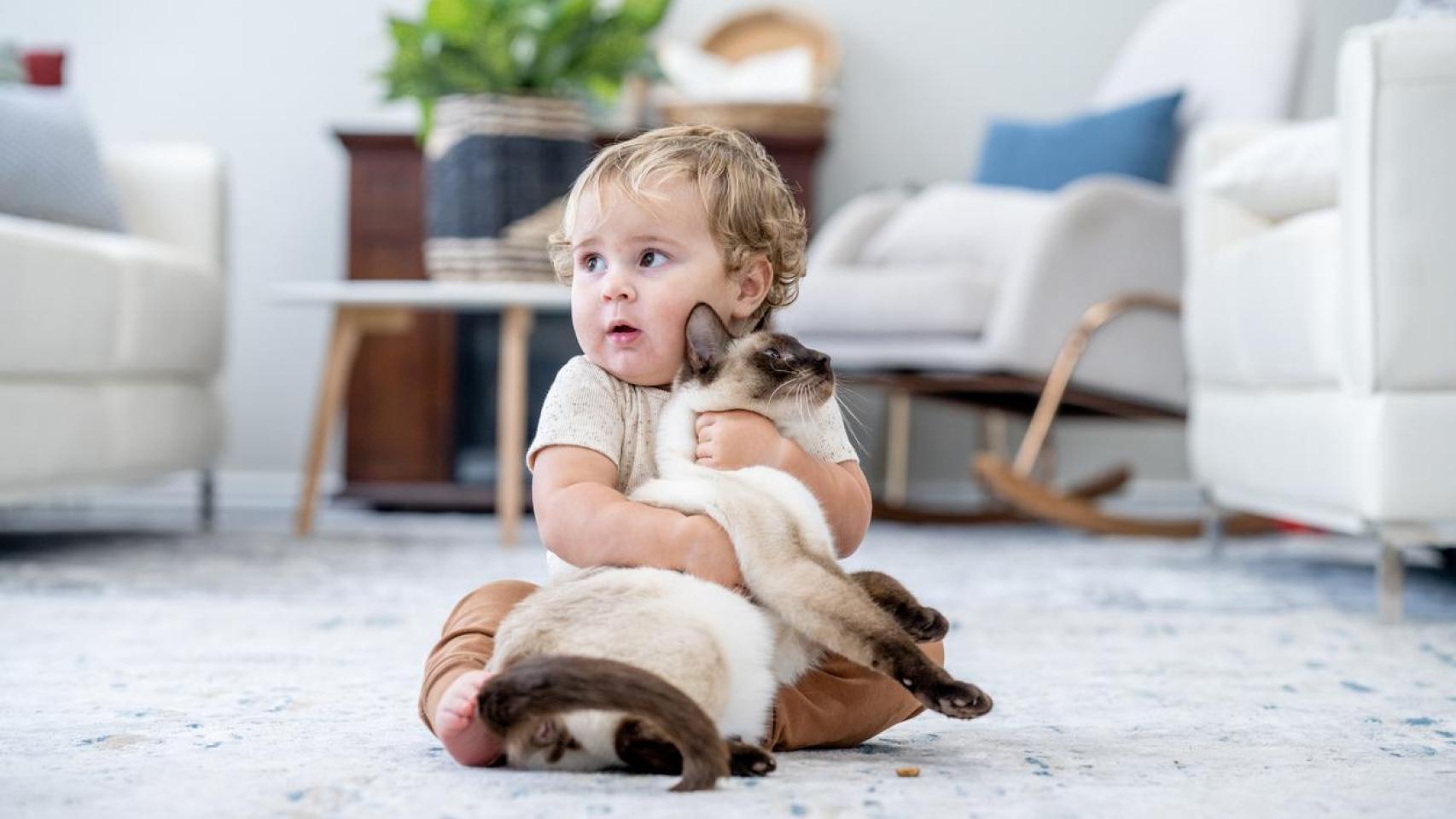 Un gato con un bebé.