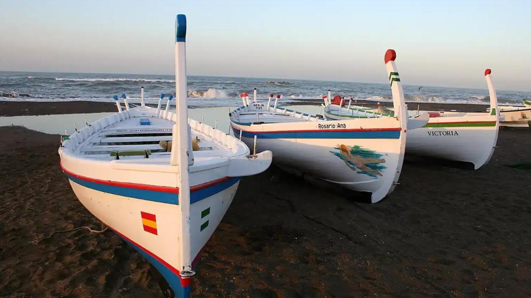 Imagen de varias jábegas.