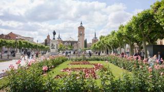 La plaza principal de Alcalá de Henares en Madrid.