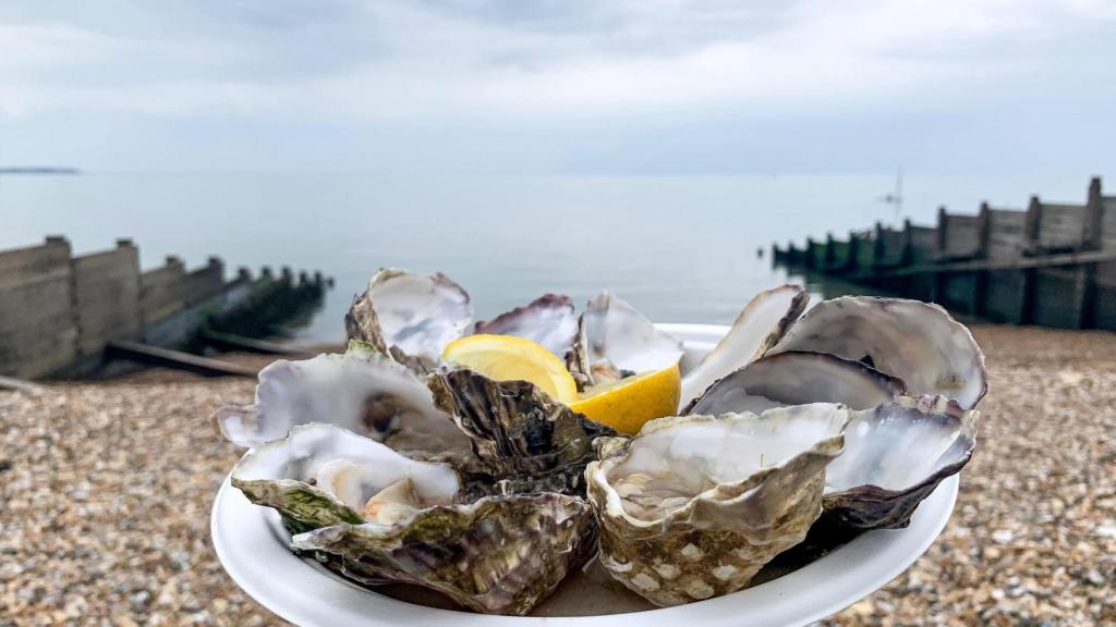 Ostras, uno de los manjares para tomar en Whitstable.
