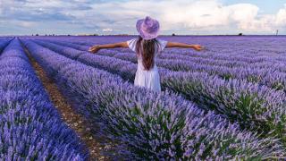 parece-la-provenza-espana-conjunto-historico-campos-lavanda-1