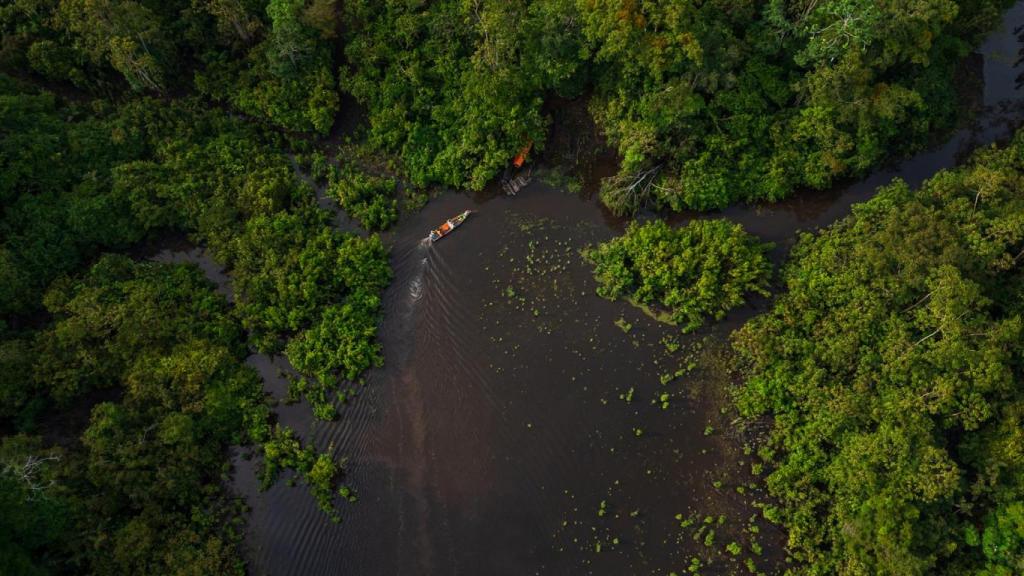Imagen de los bosques inundables del río Nanay en la Amazonía Peruana.