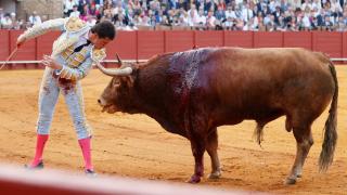 Daniel Luque le hace un desplante a un toro en la Maestranza de Sevilla.
