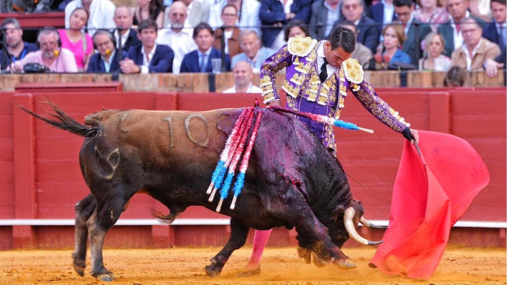 José María Manzanares torea al natural en la Maestranza de Sevilla.