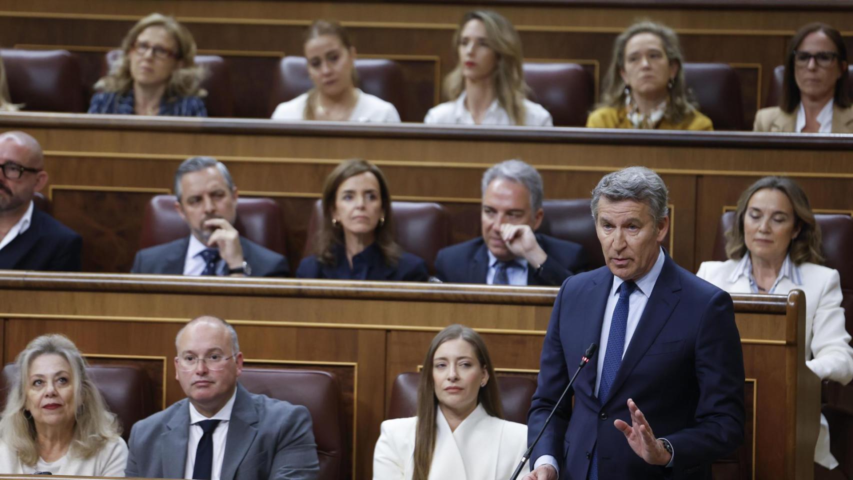 El líder del PP, Alberto Núñez Feijóo, interviene durante la sesión de control al Gobierno.