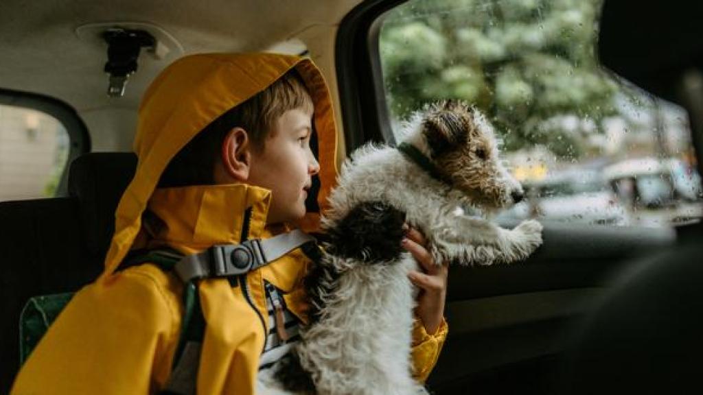 Imagen de ilustración de un perro viajando con un niño.