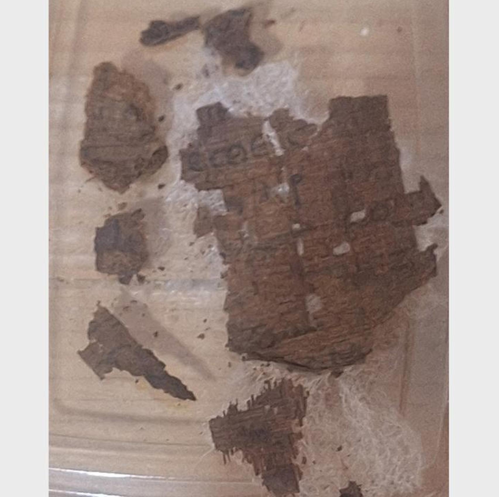 Algunos fragmentos del papiro. Foto: Universidad de Barcelona.