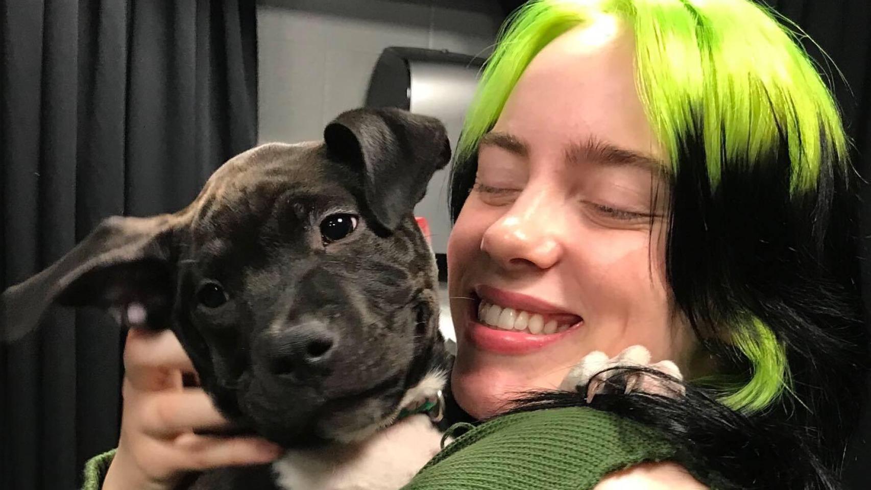 Billie Eilish con Shark.