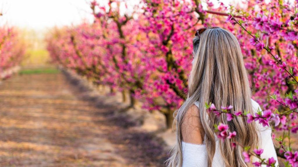 Flores rosadas en Aitona.