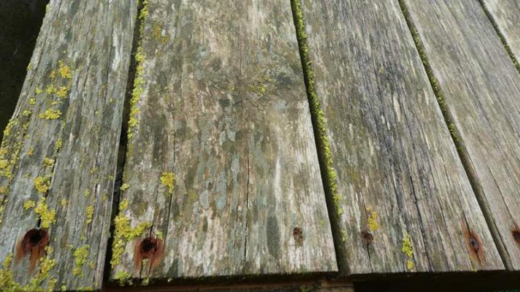 Las tablas de madera que conforman el suelo de la pasarela tienen hongos y los tornillos han perdido grosor por la oxidación y su exposición al ambiente marino.
